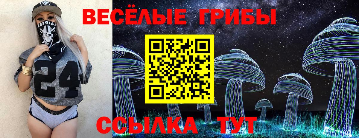 Псилоцибиновые грибы Psilocybe Кохма