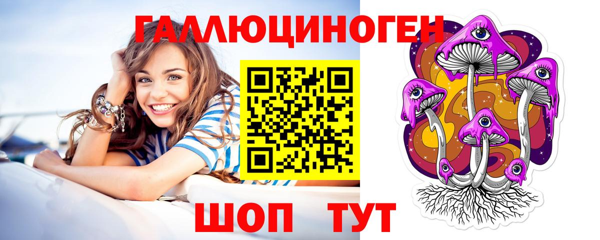 Кохма  Псилоцибиновые грибы мицелий  Вход с VPN 